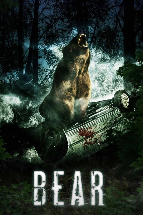 Bear - Movie Poster