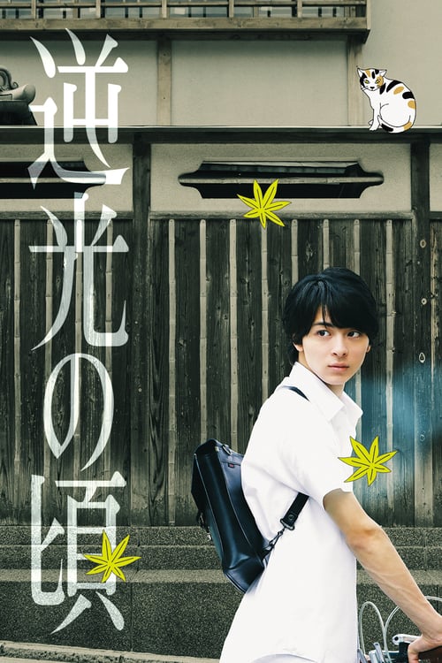 Lights of Kyoto - Movie Poster Lights of Kyoto - Movie Poster
