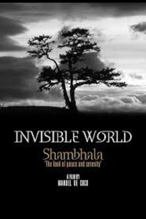 Invisible World - Movie Poster Invisible World - Movie Poster