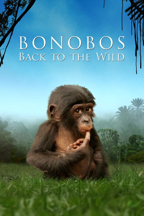 Beny: Back to the Wild - Movie Poster Beny: Back to the Wild - Movie Poster