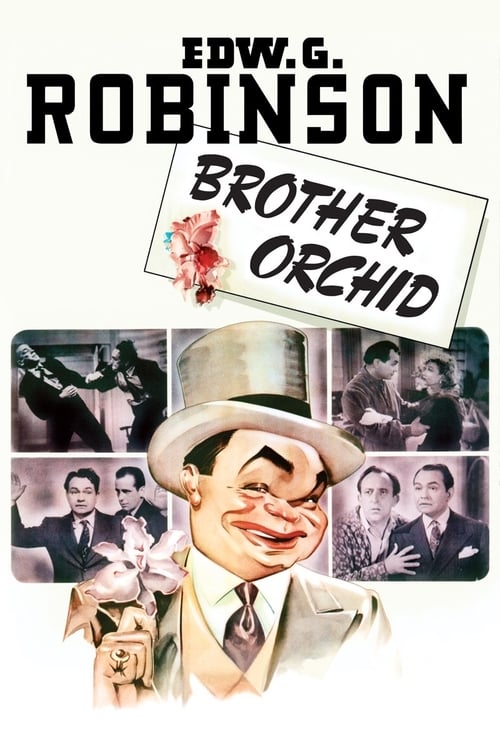 Brother Orchid - Movie Poster