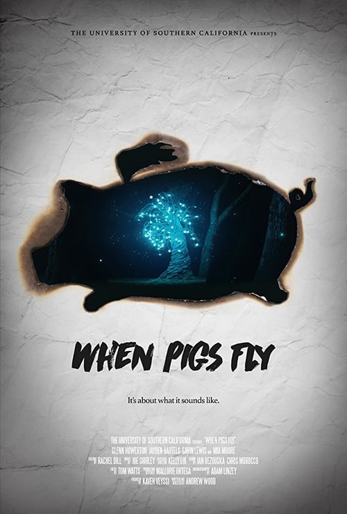 When Pigs Fly - Movie Poster When Pigs Fly - Movie Poster