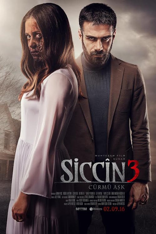 Sijjin 3: The Forbidden Love - Movie Poster Sijjin 3: The Forbidden Love - Movie Poster