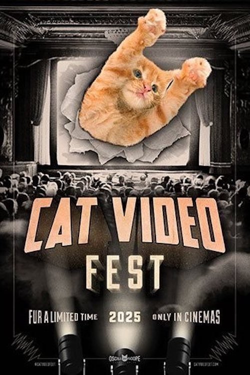 CatVideoFest 2025 - Movie Poster