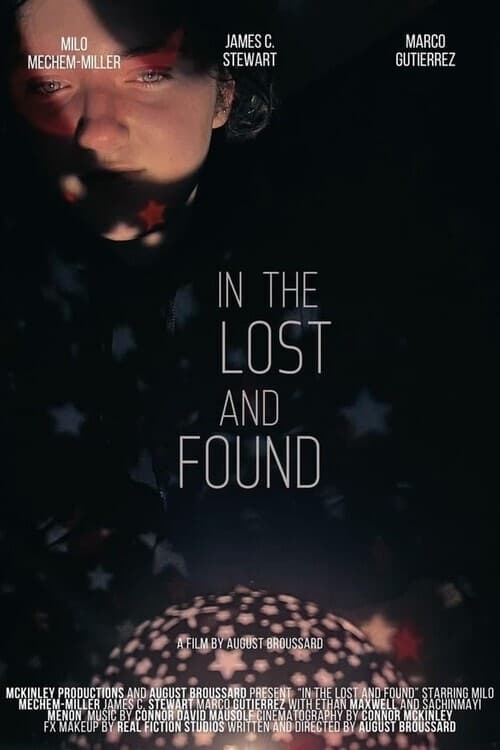 In the Lost and Found - Movie Poster In the Lost and Found - Movie Poster