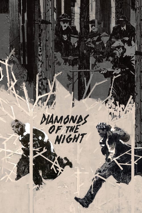 Diamonds of the Night - Movie Poster