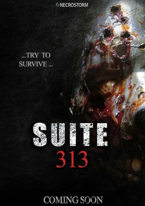 Suite 313 - Movie Poster Suite 313 - Movie Poster