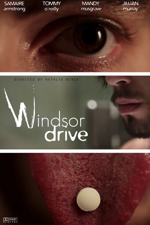 Windsor Drive - Movie Poster