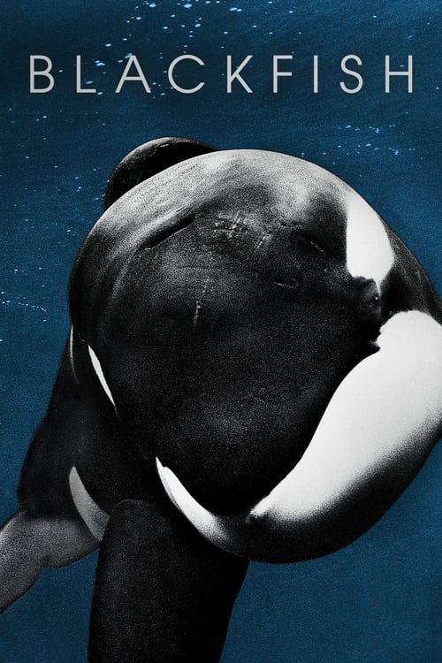 Blackfish - Movie Poster Blackfish - Movie Poster