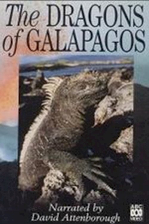 The Dragons Of Galapagos - Movie Poster