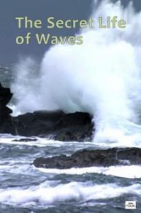 The Secret Life of Waves - Movie Poster The Secret Life of Waves - Movie Poster