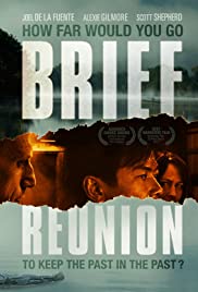 Brief Reunion - Movie Poster