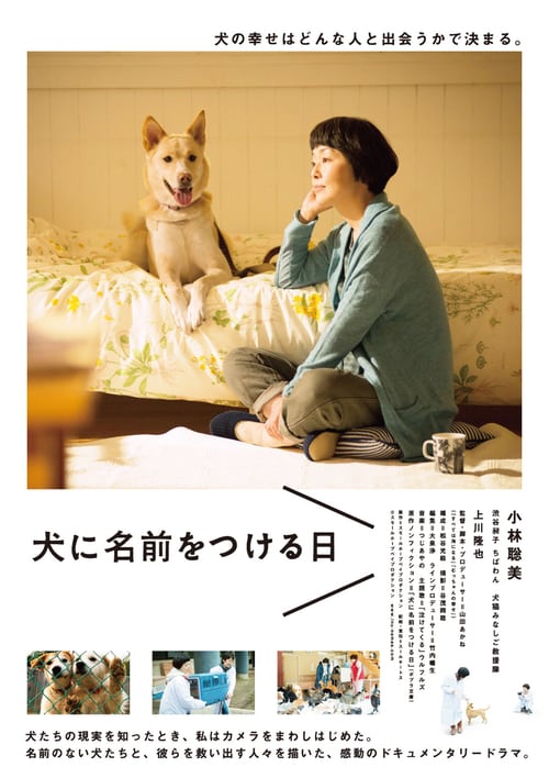 Dogs Without Names - Movie Poster