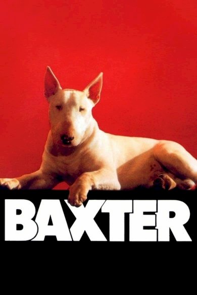 Baxter - Movie Poster Baxter - Movie Poster