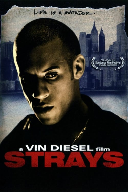 Strays - Movie Poster Strays - Movie Poster
