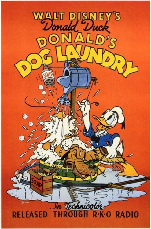 Donald's Dog Laundry - Movie Poster