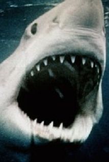 Sharkmania: The Top 15 Biggest Baddest Bloodiest Bites - Movie Poster Sharkmania: The Top 15 Biggest Baddest Bloodiest Bites - Movie Poster