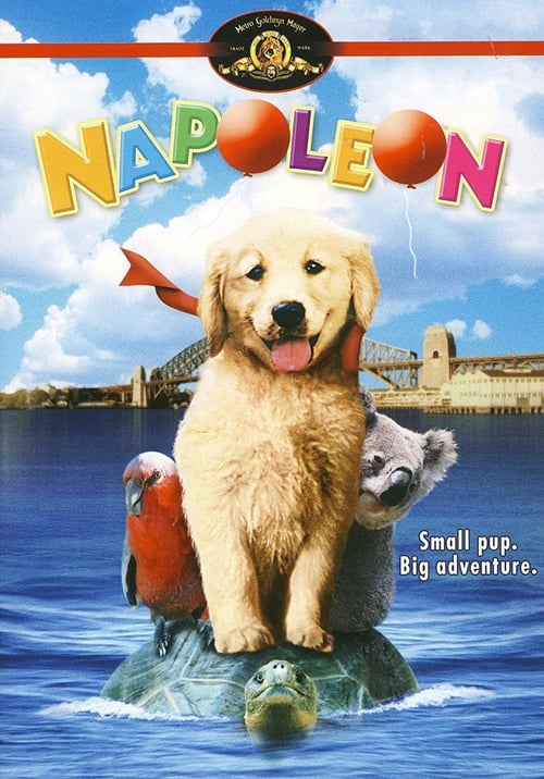 Napoleon - Movie Poster Napoleon - Movie Poster