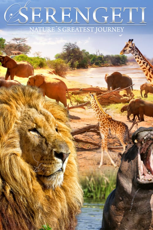 Serengeti: Nature's Greatest Journey - Movie Poster Serengeti: Nature's Greatest Journey - Movie Poster