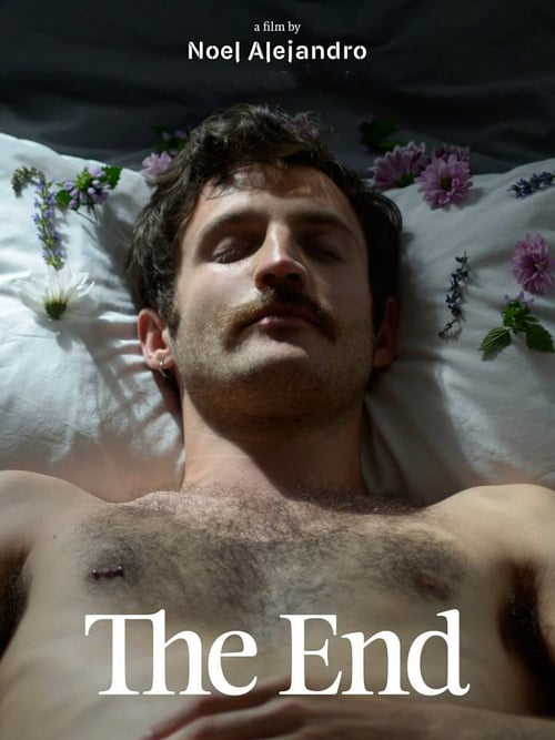 The End - Movie Poster The End - Movie Poster