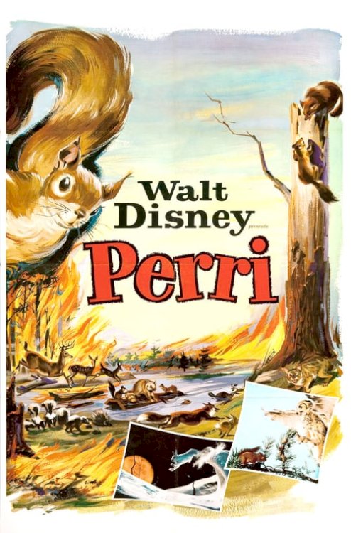 Perri - Movie Poster Perri - Movie Poster