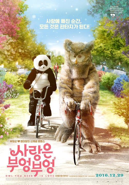 Owl You Need Is Love - Movie Poster