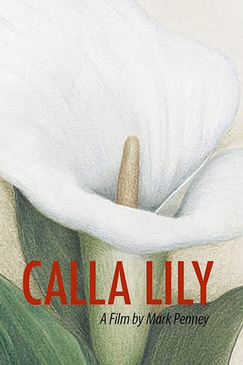 Calla Lily - Movie Poster Calla Lily - Movie Poster