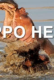 Hippo Hell - Movie Poster Hippo Hell - Movie Poster