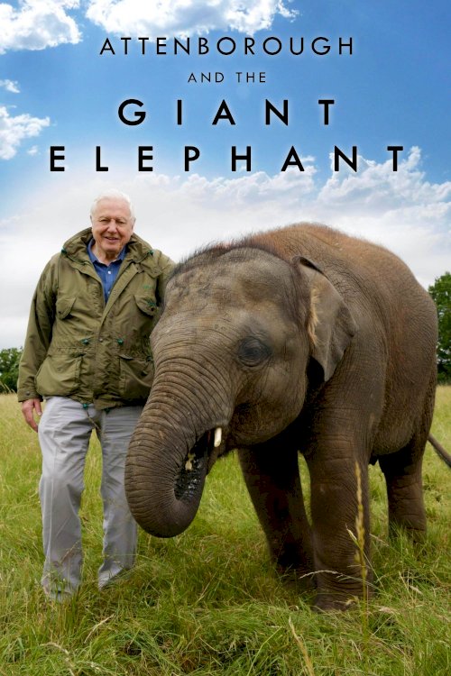 Attenborough and the Giant Elephant - Movie Poster Attenborough and the Giant Elephant - Movie Poster