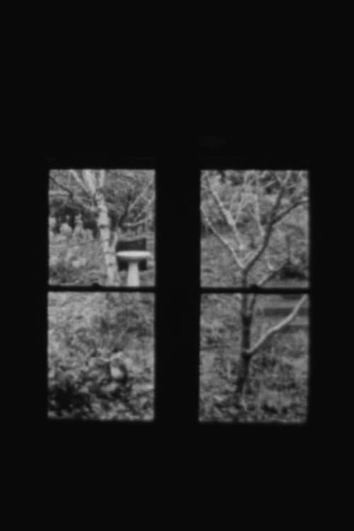 In and Out a Window - Movie Poster