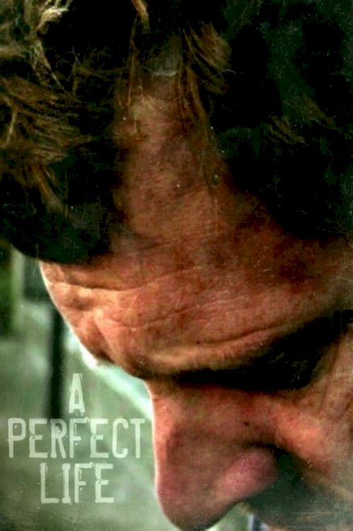 A Perfect Life - Movie Poster A Perfect Life - Movie Poster