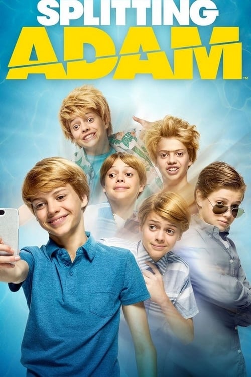 Splitting Adam - Movie Poster Splitting Adam - Movie Poster