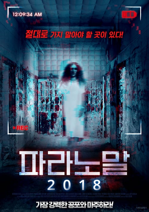 Paranormal Asylum: The Revenge of Typhoid Mary - Movie Poster