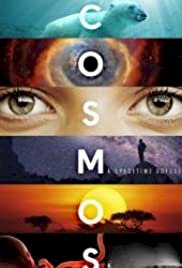 Cosmos: A Spacetime Odyssey - The Voyage Continues - Movie Poster