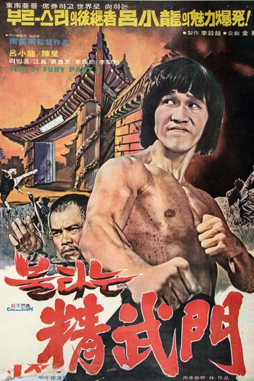 Bruce and Shaolin Kung Fu part 2 - Movie Poster Bruce and Shaolin Kung Fu part 2 - Movie Poster
