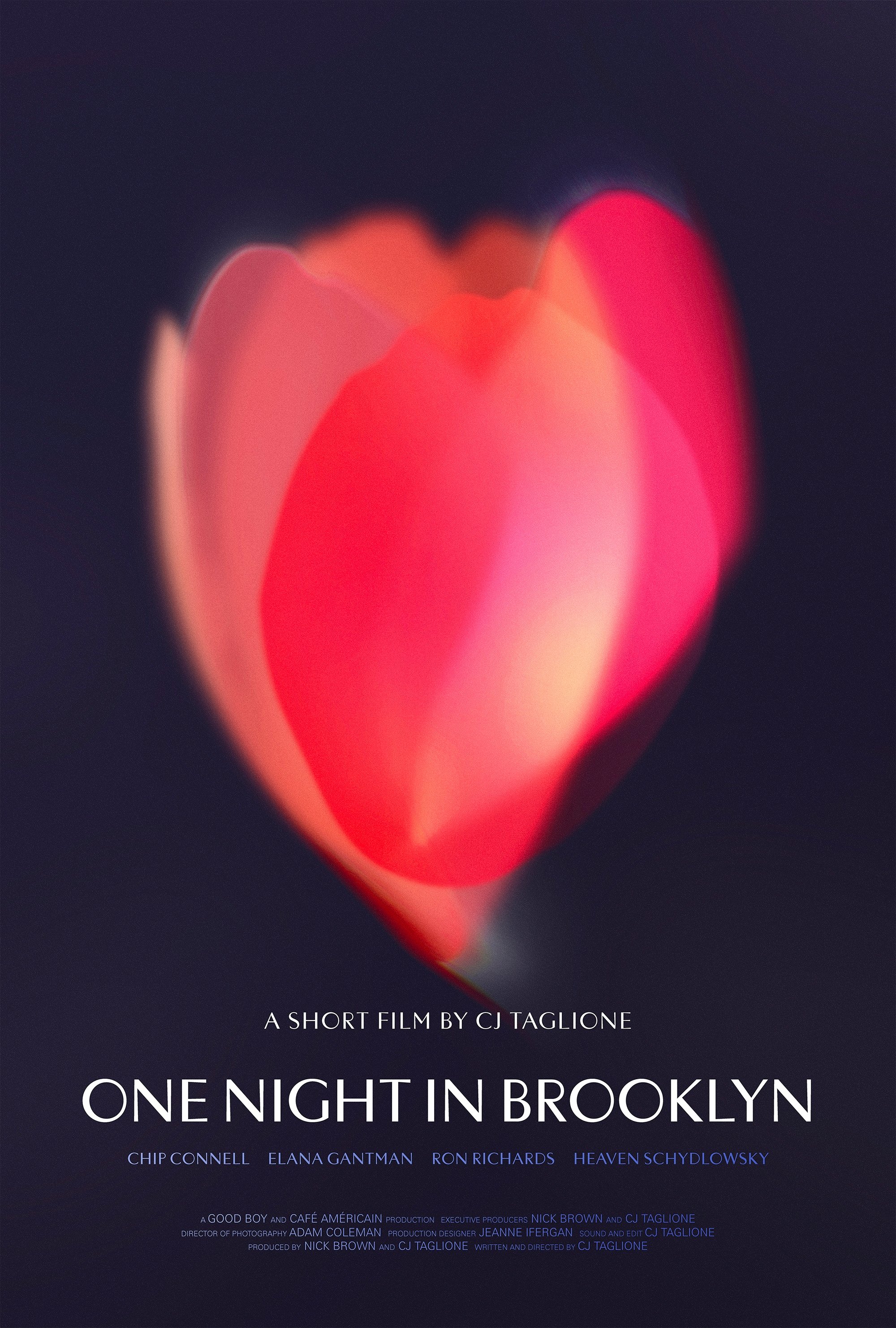 One Night in Brooklyn - Movie Poster One Night in Brooklyn - Movie Poster