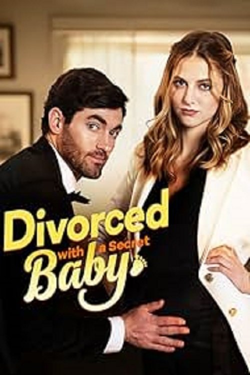 Divorced With a Secret Baby - Movie Poster Divorced With a Secret Baby - Movie Poster