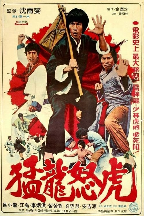 Bruce and Dragon Fist - Movie Poster Bruce and Dragon Fist - Movie Poster
