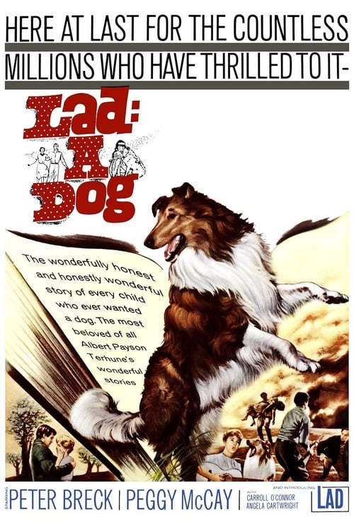 Lad: A Dog - Movie Poster Lad: A Dog - Movie Poster