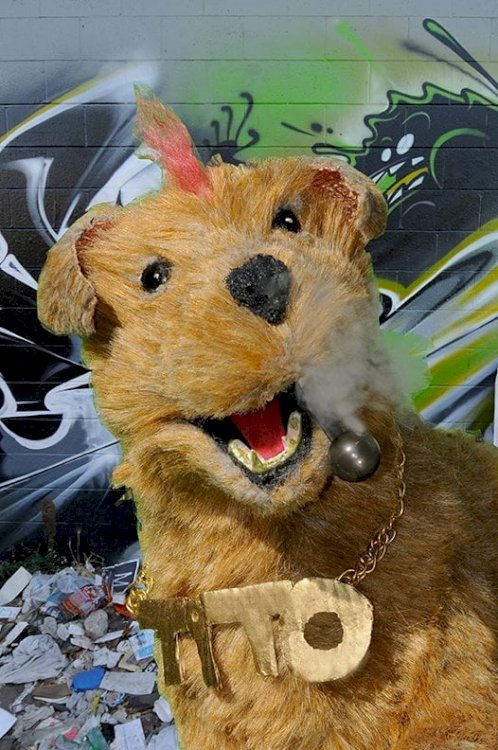 Crack Dog - Movie Poster Crack Dog - Movie Poster