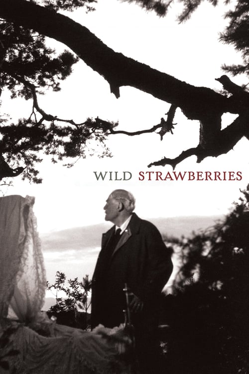 Wild Strawberries - Movie Poster Wild Strawberries - Movie Poster