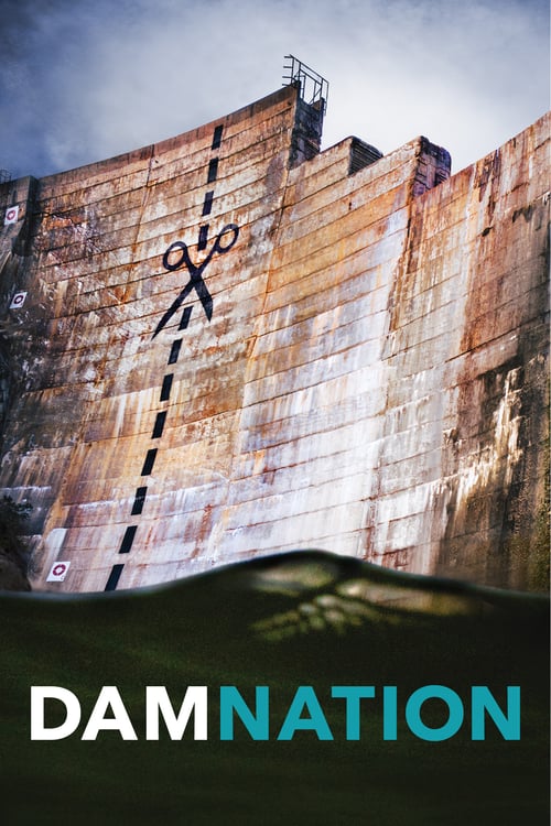 DamNation - Movie Poster DamNation - Movie Poster