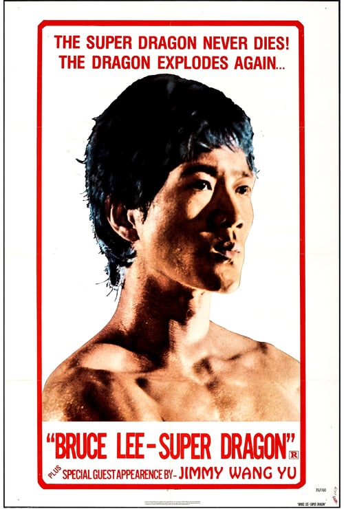 Legend of Bruce Lee - Movie Poster Legend of Bruce Lee - Movie Poster