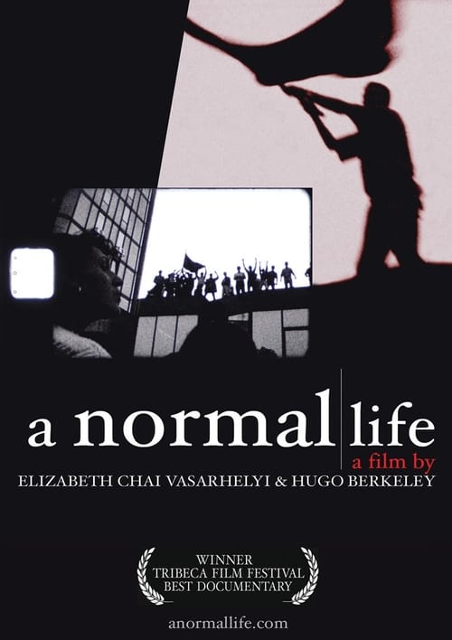 A Normal Life - Movie Poster