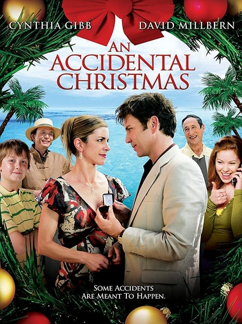 An Accidental Christmas - Movie Poster An Accidental Christmas - Movie Poster