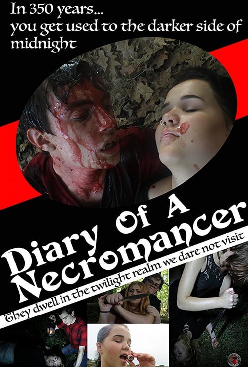 Diary of a Necromancer - Movie Poster Diary of a Necromancer - Movie Poster