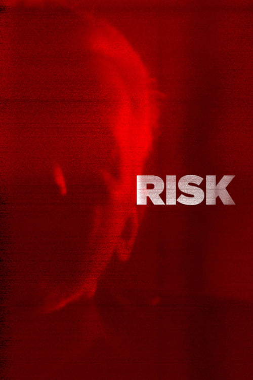 Risk - Movie Poster Risk - Movie Poster