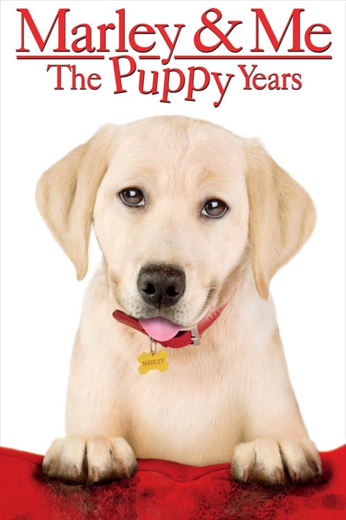 Marley & Me: The Puppy Years - Movie Poster Marley & Me: The Puppy Years - Movie Poster