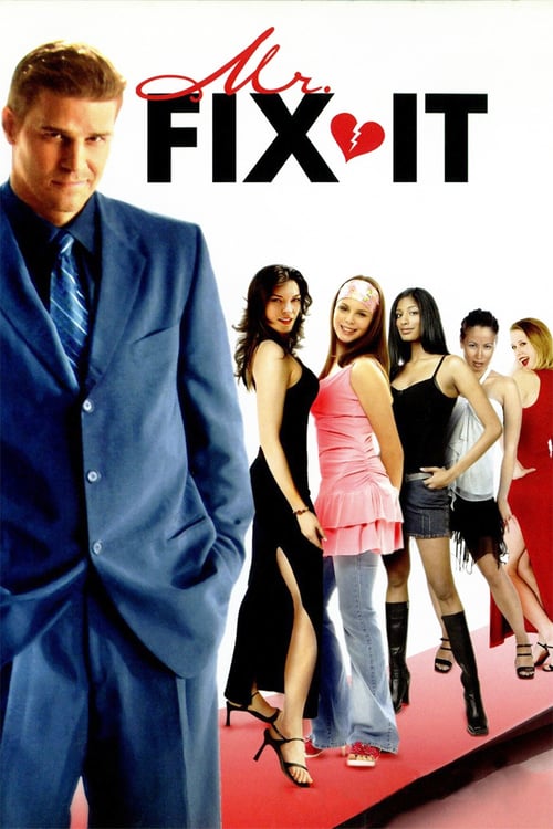 Mr. Fix It - Movie Poster Mr. Fix It - Movie Poster