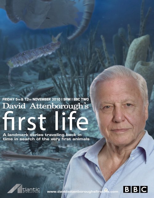 First Life - Movie Poster First Life - Movie Poster